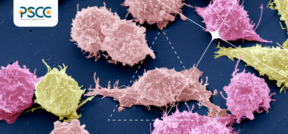 Paris-Saclay Cancer Cluster et l’Institut Polytechnique de Paris : l’innovation en ordre de bataille contre le cancer