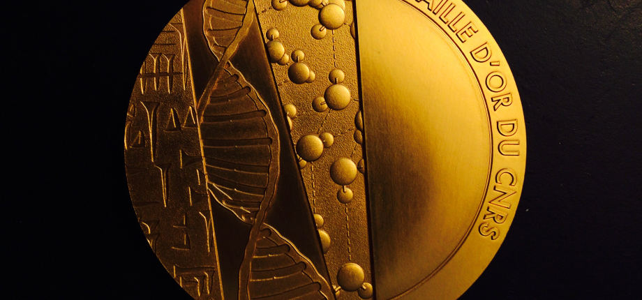 Three researchers from the Paris Institute of Technology awarded CNRS medals