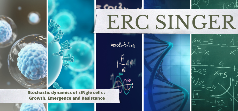 ERC SINGER 101054787 ADG -  Stochastic dynamics of sINgle cells : Growth, Emergence and Resistance