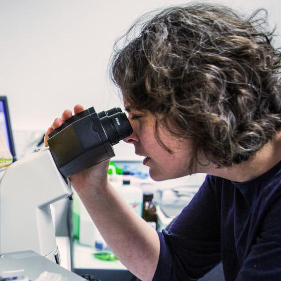 Tomorrow's materials: the advantages of paper, plus resistance to humidity?