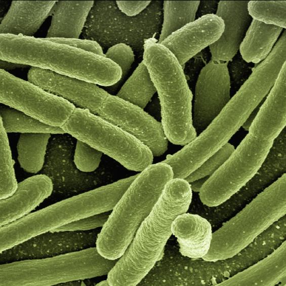 Antimicrobial resistance: prevention for a better cure