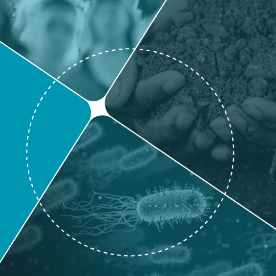 Séminaire AMR #3 : Approches interdisciplinaires face aux résistances aux antimicrobiens