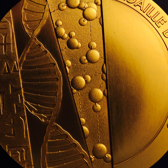 Three researchers from the Paris Institute of Technology awarded CNRS medals