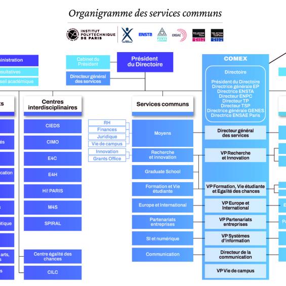Shared Services Organizational Chart