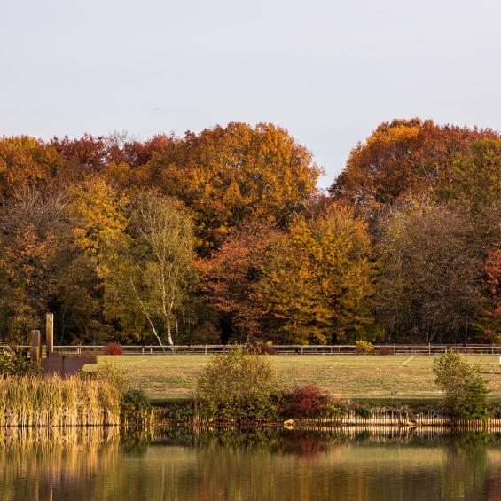 Master Year 1 in Environmental, Energy and Transport Economics (EEET)