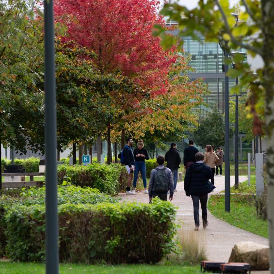 Environmental, Energy, and Transportation Economics (EEET) Program